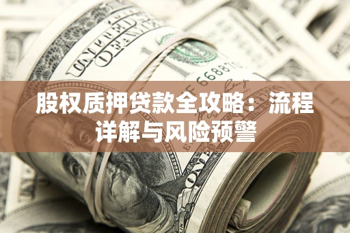 武汉股权质押贷款全攻略：流程详解与风险预警