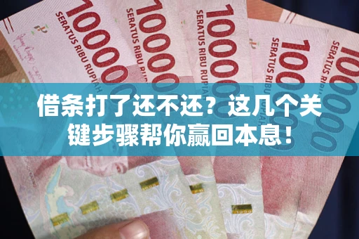 武汉借条打了还不还？这几个关键步骤帮你赢回本息！