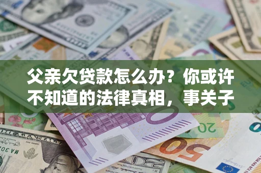 武汉父亲欠贷款怎么办？你或许不知道的法律真相，事关子女未来