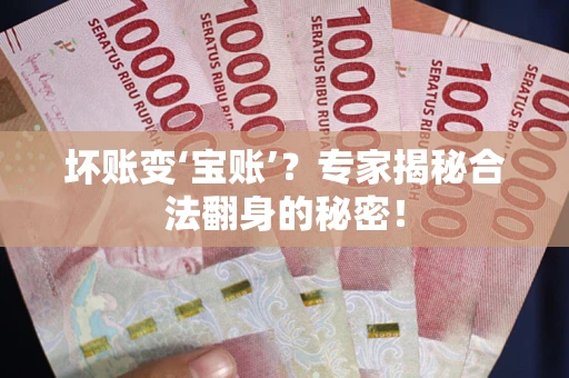 武汉坏账变‘宝账’？专家揭秘合法翻身的秘密！