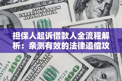 武汉担保人起诉借款人全流程解析：亲测有效的法律追偿攻略