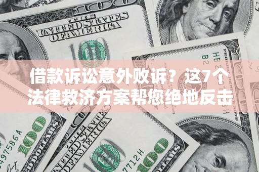 武汉借款诉讼意外败诉？这7个法律救济方案帮您绝地反击！