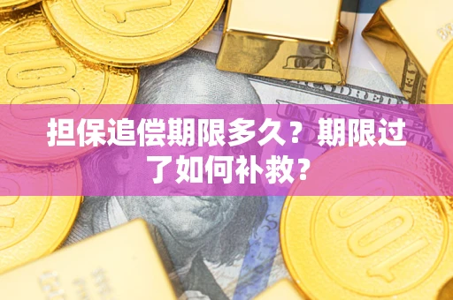 武汉担保追偿期限多久？期限过了如何补救？