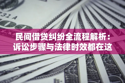 武汉民间借贷纠纷全流程解析：诉讼步骤与法律时效都在这儿了
