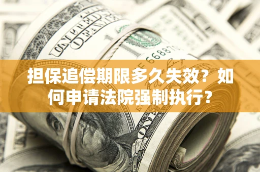 武汉担保追偿期限多久失效？如何申请法院强制执行？