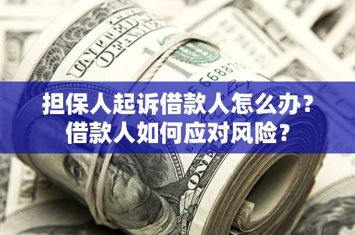 武汉担保人起诉借款人怎么办？借款人如何应对风险？
