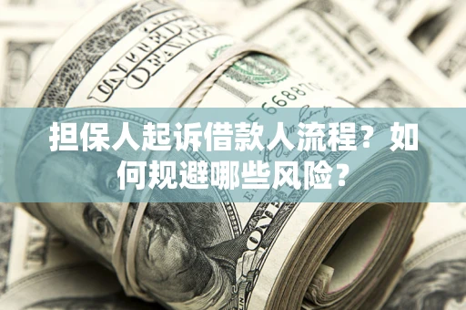 武汉担保人起诉借款人流程？如何规避哪些风险？