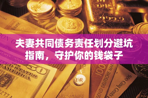 武汉夫妻共同债务责任划分避坑指南，守护你的钱袋子