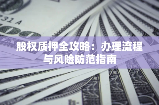 武汉股权质押全攻略：办理流程与风险防范指南