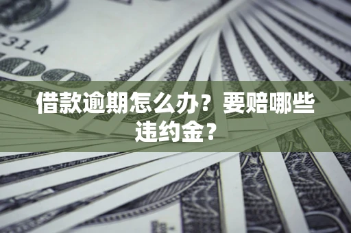 武汉借款逾期怎么办？要赔哪些违约金？