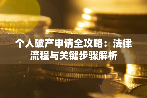 武汉个人破产申请全攻略：法律流程与关键步骤解析