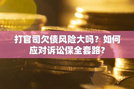武汉打官司欠债风险大吗？如何应对诉讼保全套路？