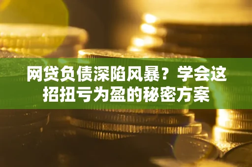 武汉网贷负债深陷风暴？学会这招扭亏为盈的秘密方案